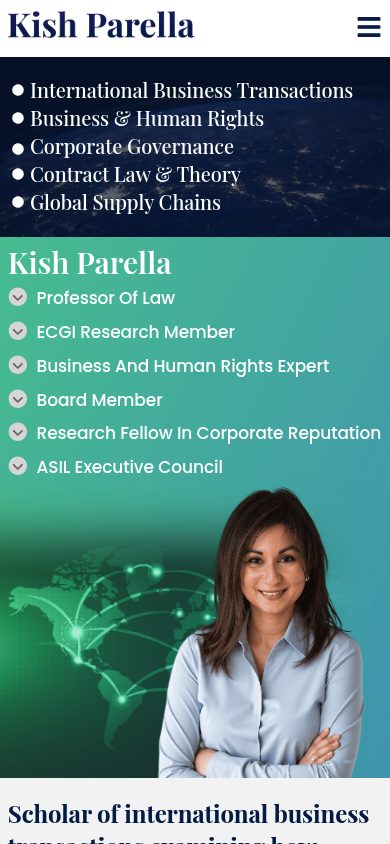Responsive mobile view of the Kish Parella CV website