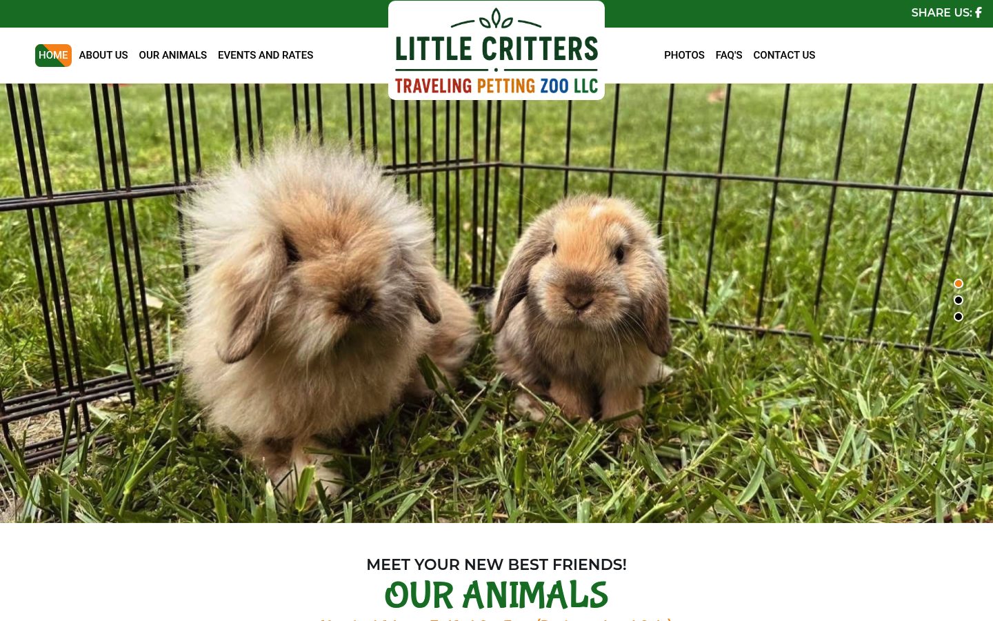 Desktop view of the Little Critters Petting Zoo website