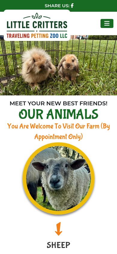 Responsive mobile view of the Little Critters Petting Zoo website