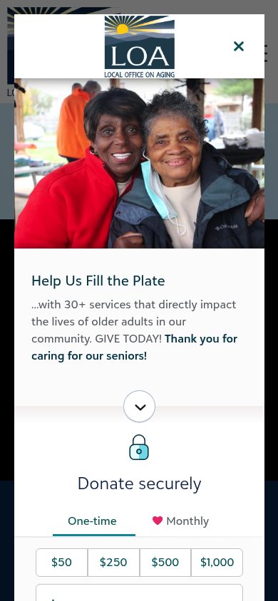 Responsive mobile view of the Local Office On Aging website