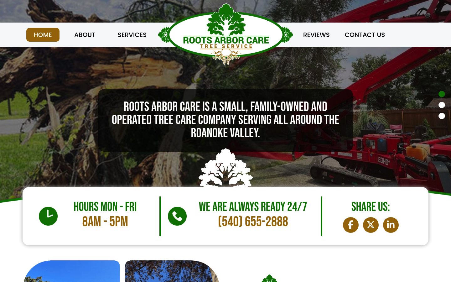 Desktop view of the Roots Arbor Care website